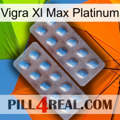 Vigra Xl Max Platinum viagra4